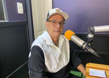 Pedro Carvajal. Abejas