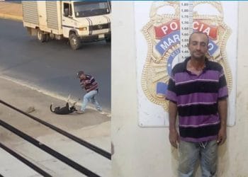un perro