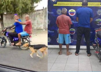 maltratar a un perro