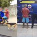 maltratar a un perro