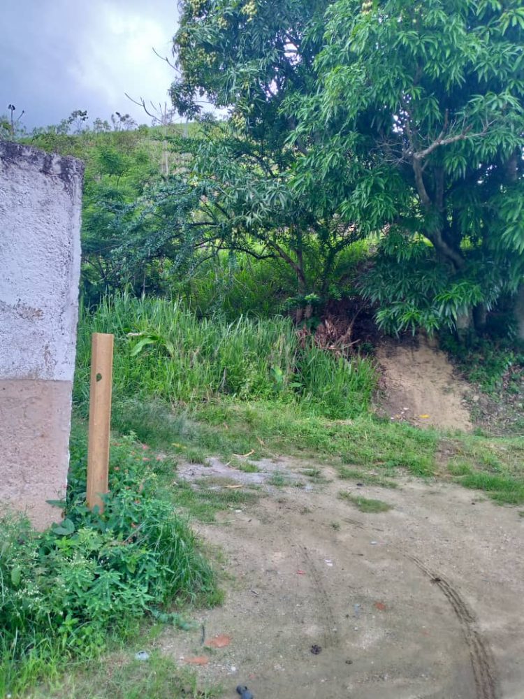 Fumigación