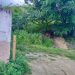 Fumigación