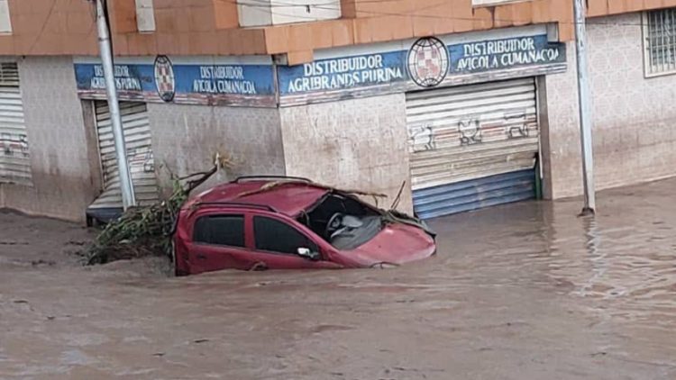 Cumanacoa