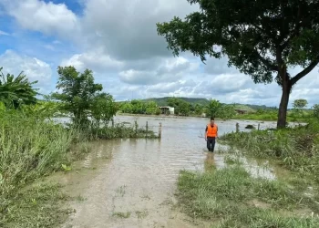 río Guanare