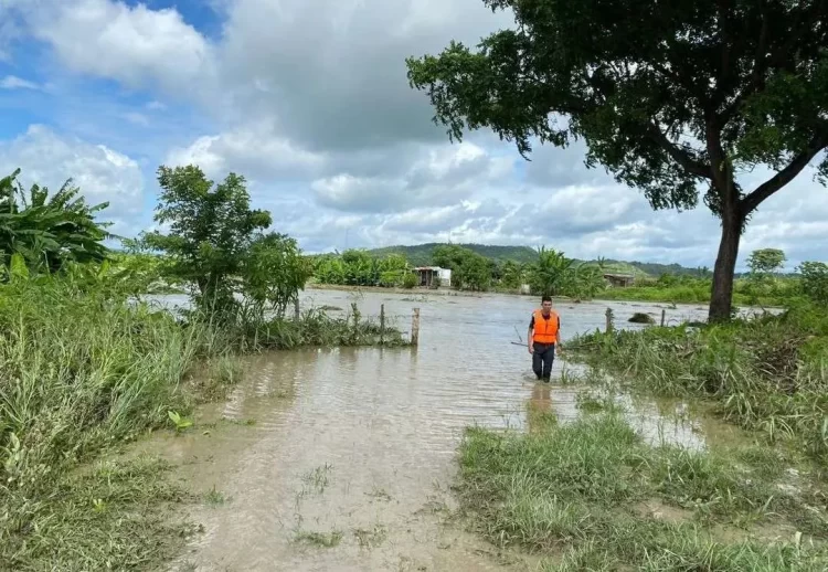 río Guanare