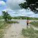 río Guanare