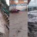 río Manzanares viviendas