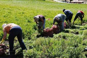 Financiamiento para la Agricultura - tribu mante