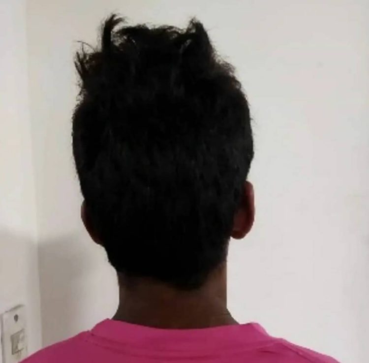 ganado