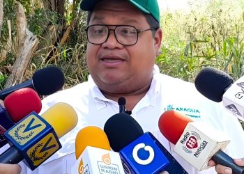 Eugenio Rodríguez, caña