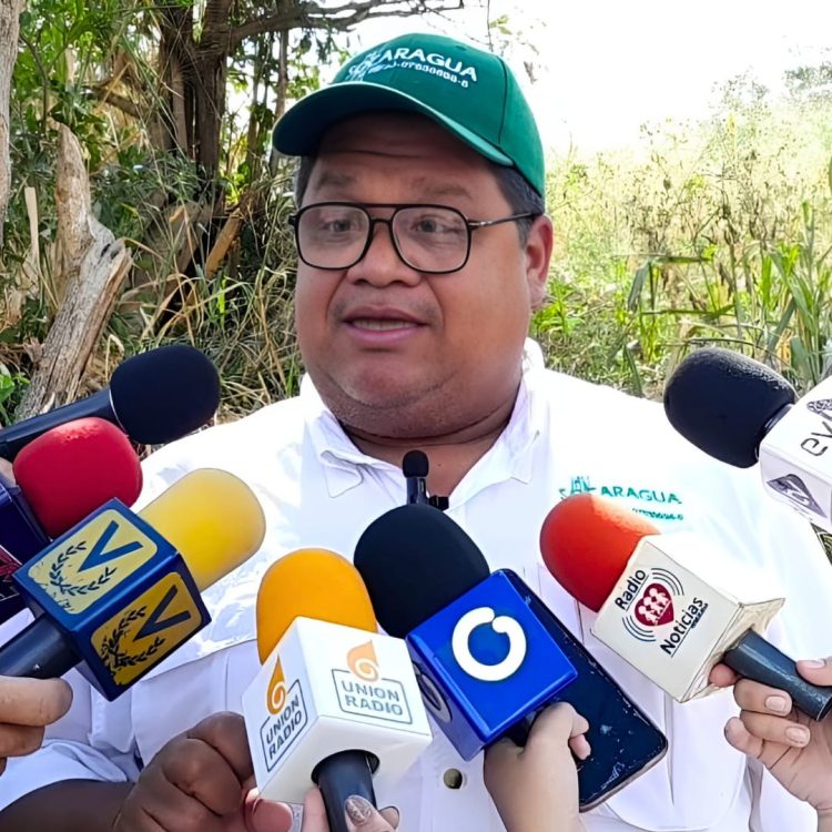 Eugenio Rodríguez, caña