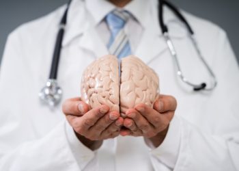 cerebro