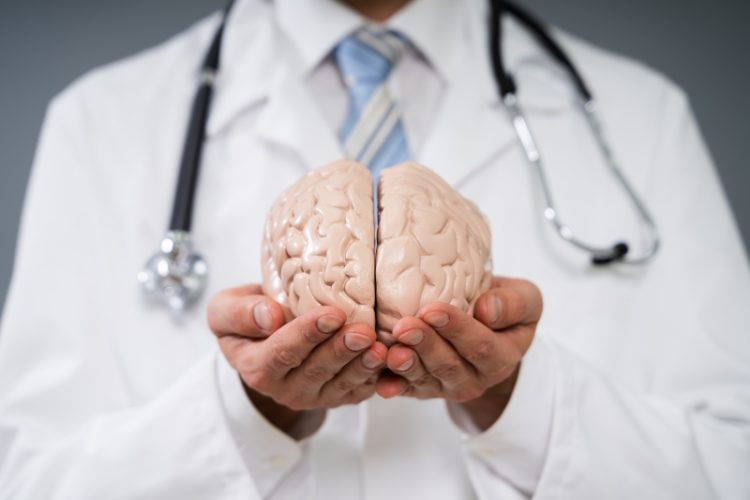 cerebro