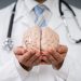 cerebro