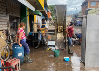 sectores económicos