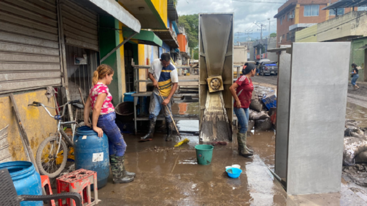 sectores económicos
