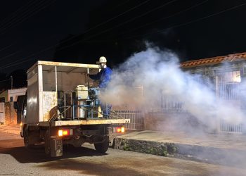 dengue