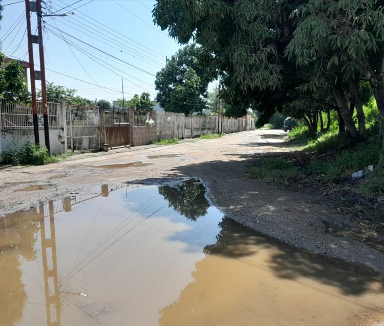 Solicitan fumigación