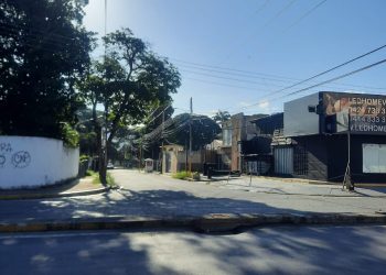 El Viñedo