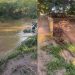 Río