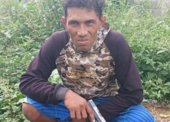 El Guaro