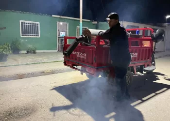 Jornada de fumigación en Alicia