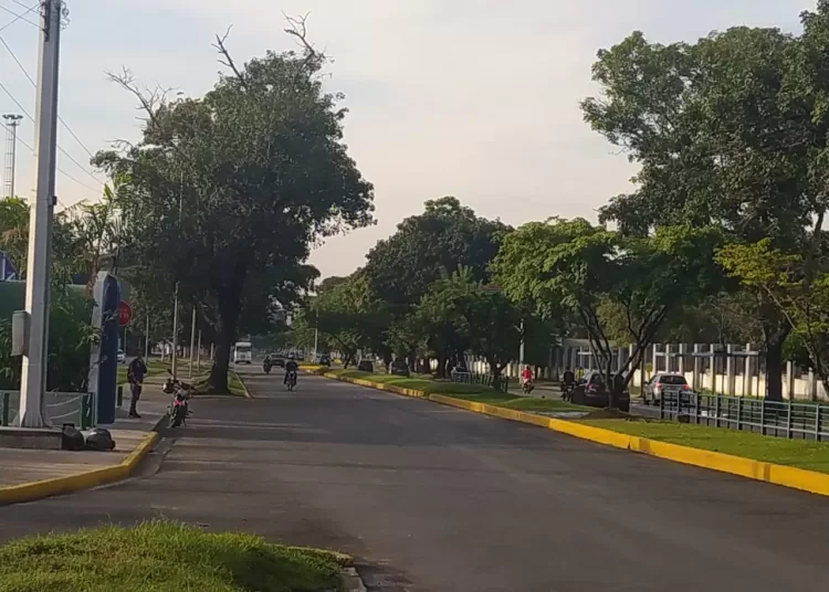 paso avenida Universidad