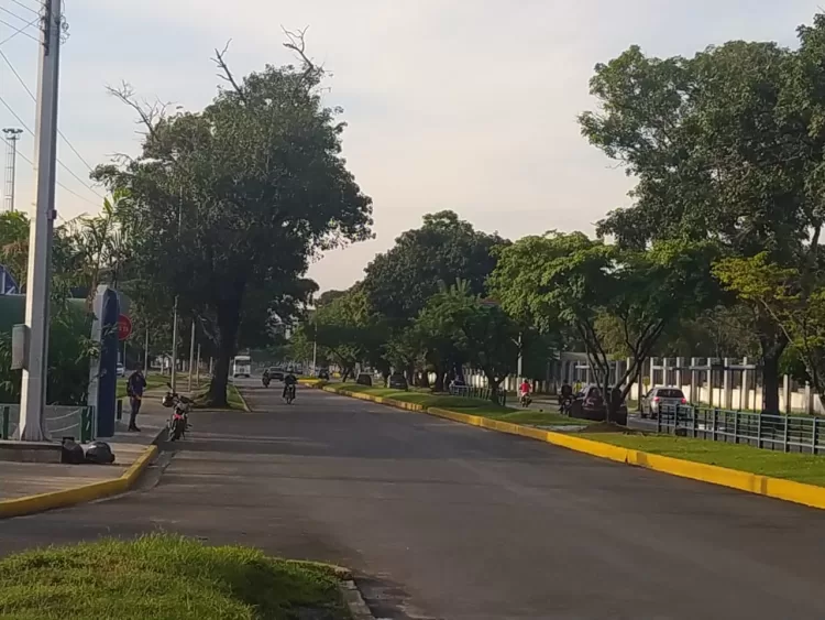 paso avenida Universidad