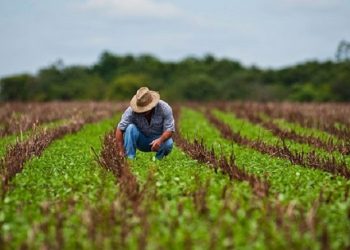 pide renovación del Decreto