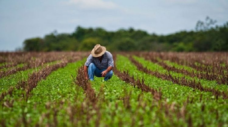pide renovación del Decreto