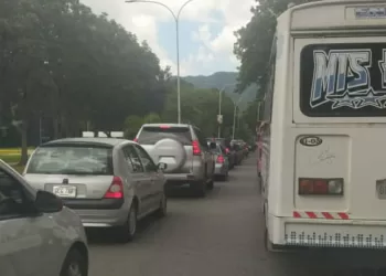 largas colas