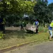 saneamiento en San Diego