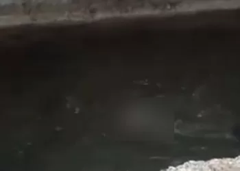 Río Guaire