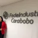 Presidenta de Fedeindustria