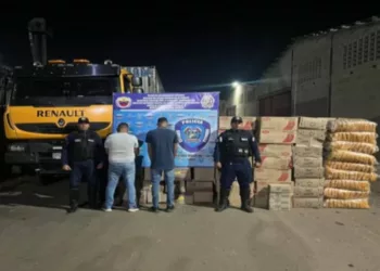 Policía de Guárico incautó 2 mil 240 cajas de comida de contrabando