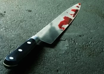 El sujeto habría acabado con su vida y la de su madre durante un ataque de esquizofrenia