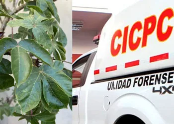 Niña murió en Güiria por consumir una infusión casera