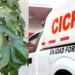 Niña murió en Güiria por consumir una infusión casera