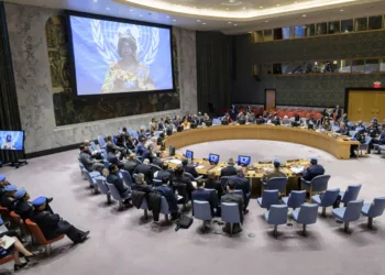 WIDE

Ms. Marie-Joseph Fitah-Kona, Advisor to the Mayor ofthe third Arrondissement of Bangui

Security Council meeting

United Nations peacekeeping operations - Police Commissioners