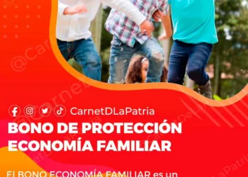 bono economía familiar