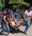 Intoxicados 50 estudiantes en Turén