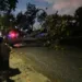 Derribo de varios árboles ocasiona destrozos en Los Caobos