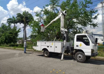 operativo de pica y poda