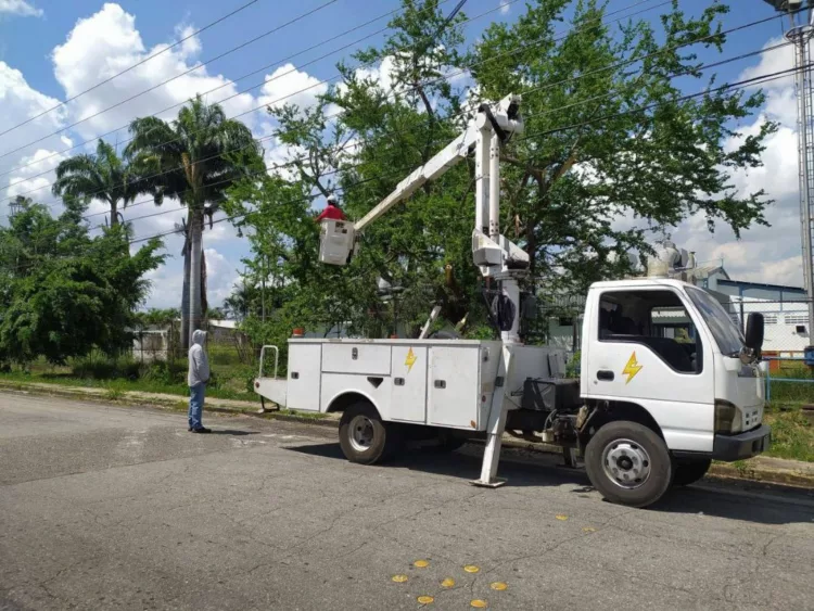 operativo de pica y poda