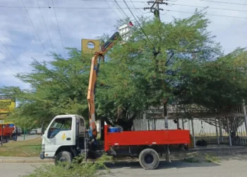 Corpoelec realizó mantenimiento