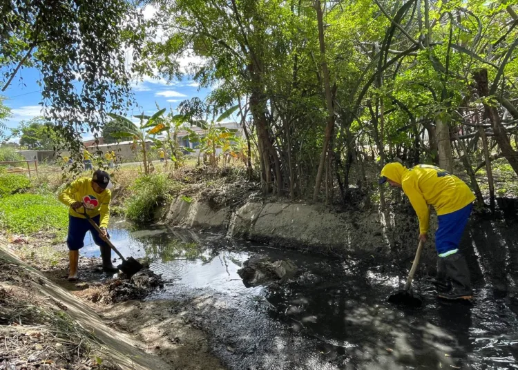 Alcaldía de Los Guayos desplegó cuadrillas de limpieza