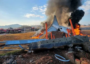 Un avión de la compañía Jeju Air sufrió un accidente este domingo al intentar aterrizar en Muan, Corea del Sur. De momento se contabilizan 176 víctimas mortales.