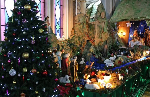 Cuánto le cuesta a las familias carabobeñas instalar un arbolito de Navidad SandyAveledo Net