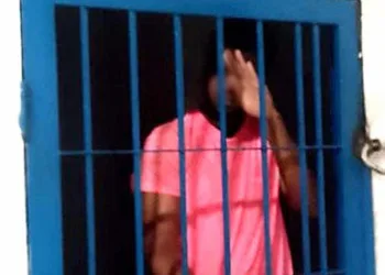 Detenido por asesinar a su madre con un tronco