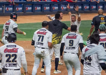 Leones del Caracas